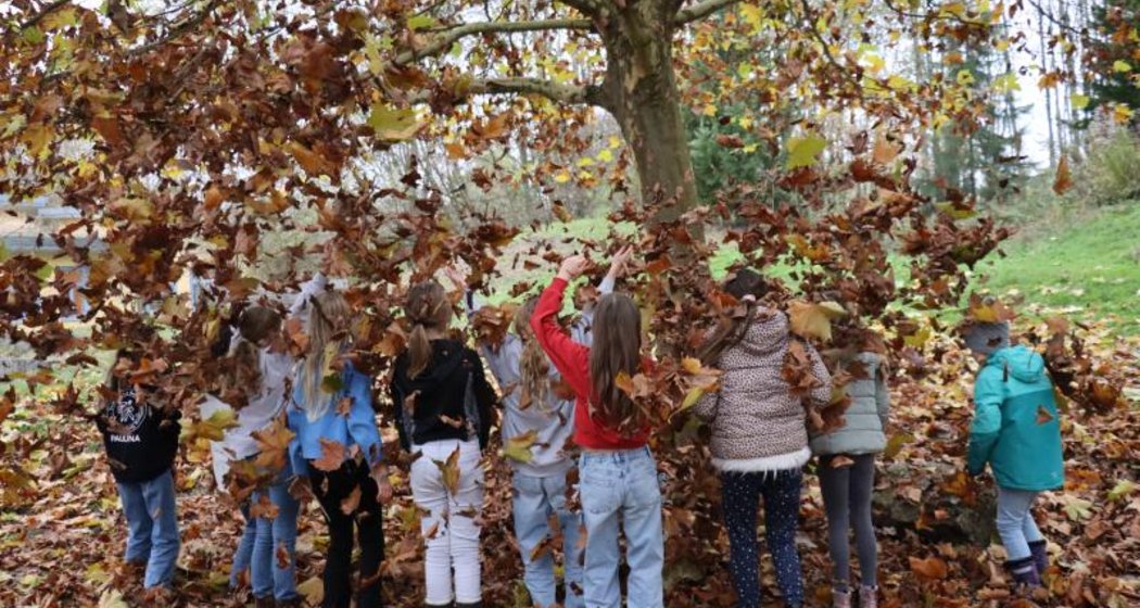 Eine Gruppe von Kindern steht unter einem großen Baum und wirft Herbstblätter in die Luft, während sie mit dem Rücken zur Kamera auf einem mit Blättern bedeckten Boden stehen.