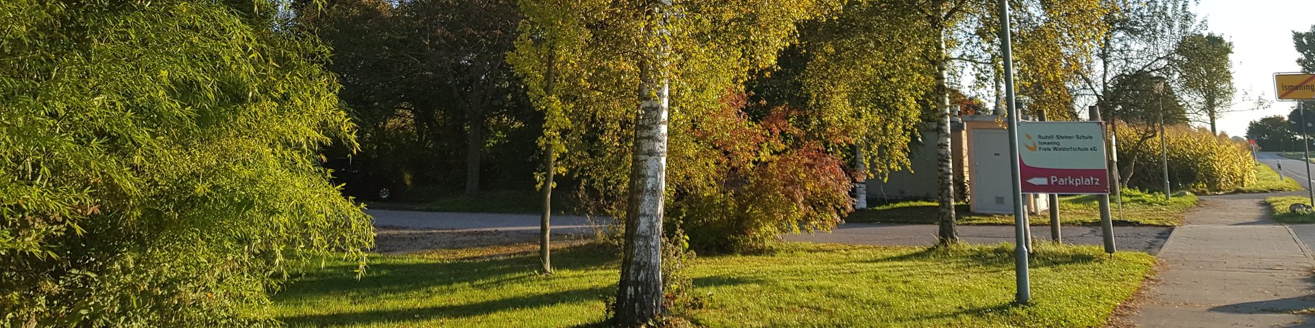 Ein von der Sonne beschienener Baum steht auf einer Wiese in der Nähe eines Gehwegs, auf dem eine Straßenlaterne und ein Parkplatzschild zu sehen sind. Der Himmel ist klar und blau, und die Schatten deuten auf den frühen Morgen oder den späten Nachmittag hin.