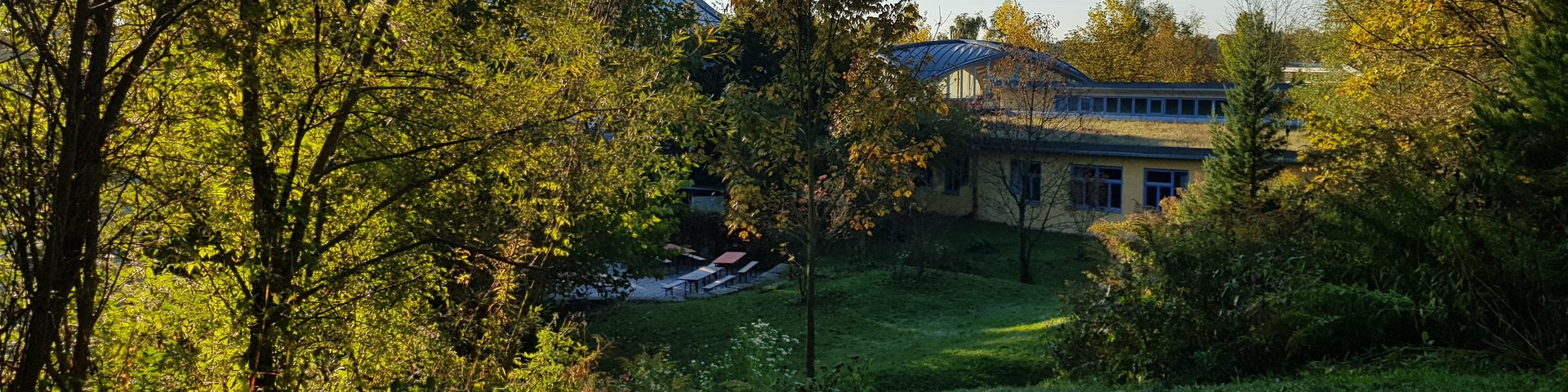 Eine sonnenbeschienene Rasenfläche mit Bäumen und Büschen im Vordergrund, die zu einem modernen Gebäude mit großen Fenstern im Hintergrund führt, umgeben von weiterem Grün unter einem klaren blauen Himmel.