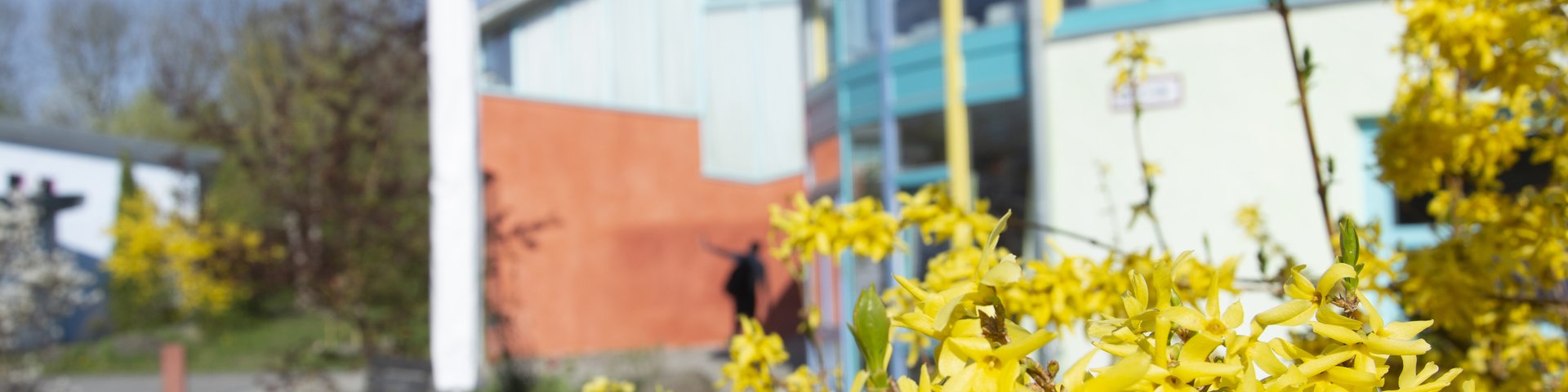 Leuchtend gelbe Blumen im Vordergrund, ein farbenfrohes, modernes Gebäude und ein klarer blauer Himmel im Hintergrund, der einen fröhlichen, sonnigen Tag andeutet.