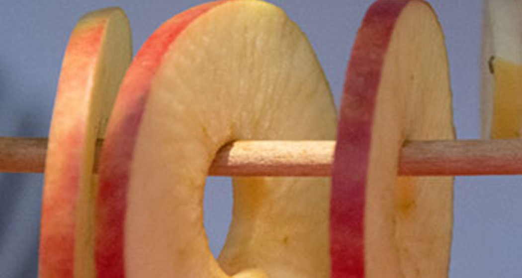 Drei dünne, runde Scheiben eines roten Apfels, bei denen das Kerngehäuse entfernt wurde, hängen an einem Holzstab vor einem hellen Hintergrund.