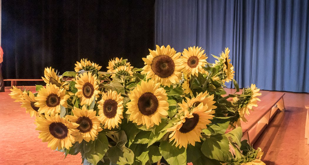 Ein großer Sonnenblumenstrauß im Vordergrund steht auf einer Bühne mit blauen Vorhängen und Holzstufen im Hintergrund. Die Bühne ist warm beleuchtet und kontrastiert mit dem dunklen Bereich hinter dem Vorhang.