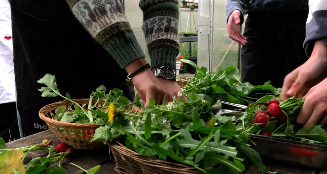 Mehrere Personen sortieren und ordnen frisches Grün und Radieschen in Weidenkörben auf einem Holztisch an. Sie tragen Pullover und Schürzen und greifen mit den Händen nach den Produkten.