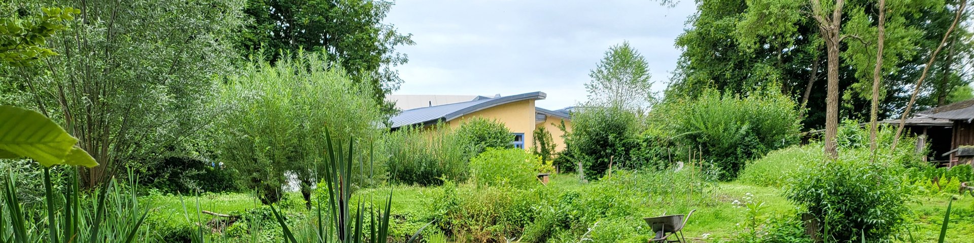 Ein üppig grüner Teich, umgeben von hohen Gräsern, Sträuchern und Bäumen, mit einem gelben Gebäude, das teilweise im Hintergrund unter einem bewölkten Himmel zu sehen ist.