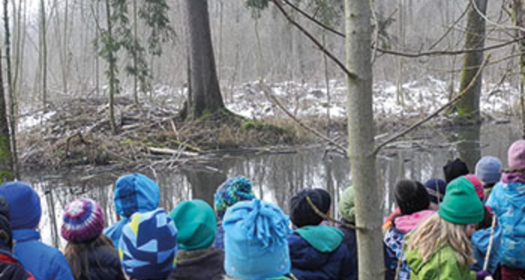 Eine Gruppe von Kindern in bunten Winterjacken und Mützen steht an einem kleinen Teich in einem Wald und beobachtet die Natur. Auf dem Boden und den Bäumen ist etwas Schnee zu sehen.