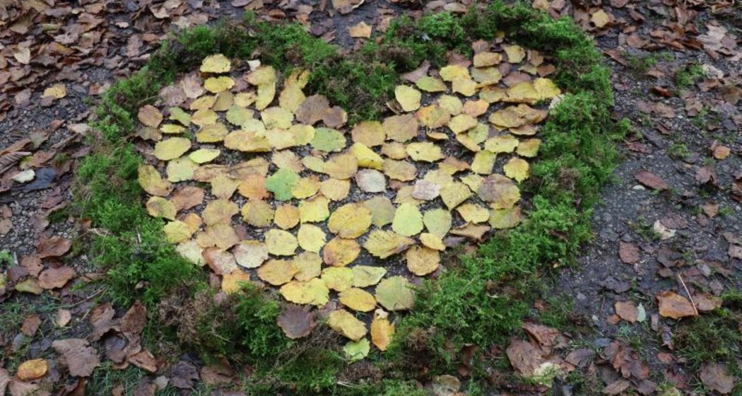 Eine Herzform auf dem Boden, umrandet mit grünem Moos und gefüllt mit gelbem Herbstlaub, umgeben von verstreuten braunen Blättern.